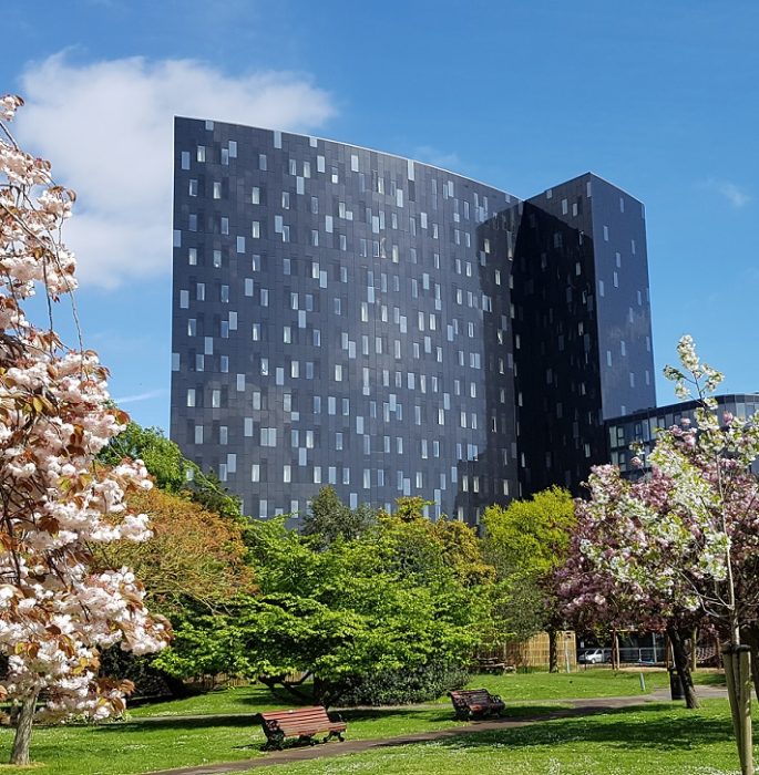 A green space in an urban environment